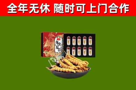 西乡回收冬虫夏草价格