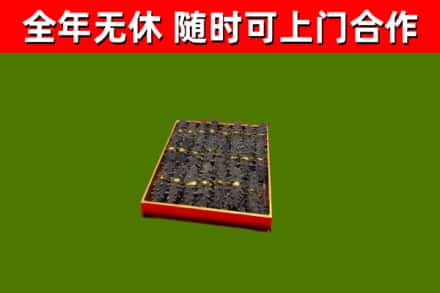 西乡回收海参